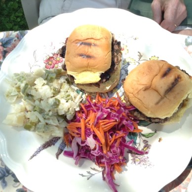 Buffalo Burgers Version 2.0