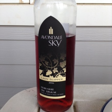 Avondale Sky Lady Slipper Rose.JPG